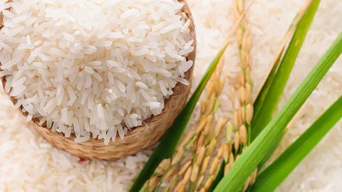 สวทช.ชู “ข้าวหอมสยาม” สู่ตลาดโลก