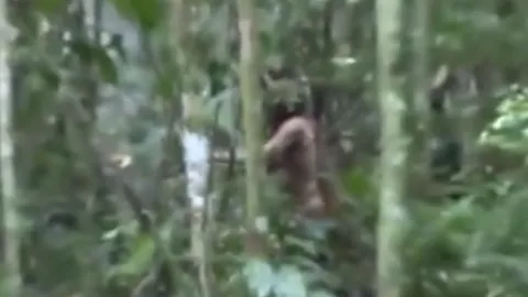 ปิดตำนาน ‘มนุษย์รู’ ชายชนเผ่าพื้นเมืองในบราซิล โดดเดี่ยวสุดในโลก ตายแล้ว (คลิป)