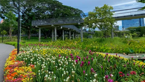 ชวนเที่ยว "มุมดอกไม้ สวนป่าเบญจกิติ" จุดถ่ายรูปใหม่สไตล์เกาหลี