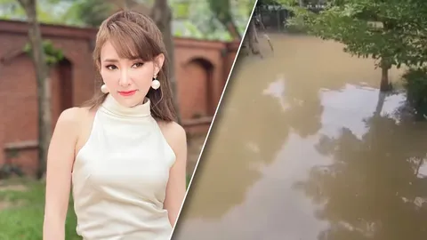 สุดช็อก ต้อม ณหทัย ทุกข์หนักตื่นมาน้ำท่วมบ้าน เห็นแล้วสงสารจับใจ (คลิป)