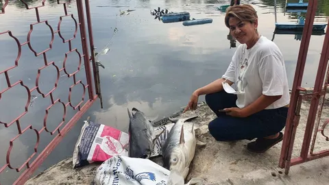 น้ำเน่าทะลักเข้าบ้านจาพนมที่ปทุมฯ ปลาในบ่อตายนับพัน จนท.จ่อเข้าตรวจสอบ