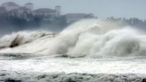 เกาหลีใต้ สะพรึง ยกระดับรับมือไต้ฝุ่นหินหนามหน่อ จ่อเข้าถล่ม