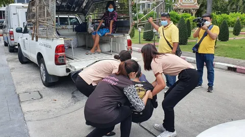 ส่งกลับเขมรแล้ว ลุงวีผู้น่าสงสาร ขอทานหลังค่อม ถูกจับเพราะลงติ๊กต่อก  (คลิป)
