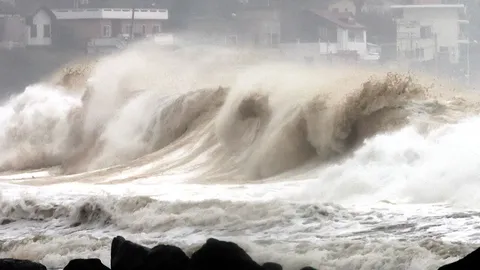 ไต้ฝุ่น “หินหนามหน่อ” ถล่มเกาหลีใต้ ปชช.สูญหาย 1 ราย (คลิป)