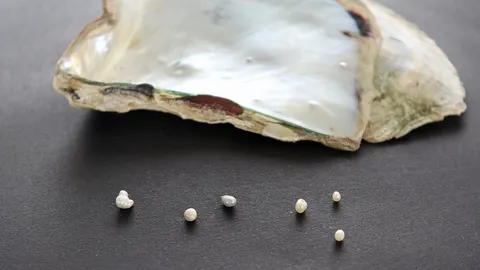 ชนิดใหม่ของโลก