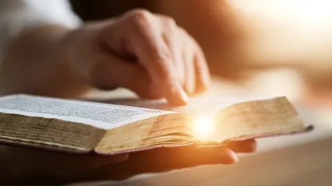 กลสองเสือแย่งเหยื่อ