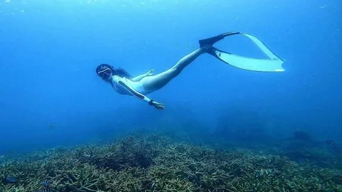 แห่ซูมภาพ วิกกี้ ภรรยา เวียร์ ศุกลวัฒน์ ดำน้ำโชว์ท่ายาก 