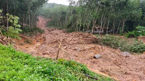 ระยองอ่วม ฝนหนัก 5 ชม. ดินภูเขา-ต้นไม้สไลด์ทับบ้าน ชาวบ้านวิ่งหนีตาย (คลิป)