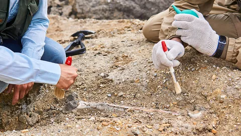 พบฟอสซิลไดโนเสาร์ที่มีผิวหนังยังไม่บุบสลาย