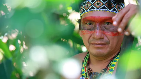 ผู้โดดเดี่ยวในป่าใหญ่