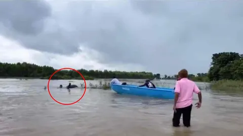 ซึ้งน้ำตาไหล นาทีช่วย ช้าง "พังชื่นใจ" และควาญ ถูกกระแสน้ำพัด จมมิดตัว