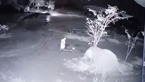 สลด หลวงตาออกมาเดินกลางดึก โดนช้างไล่เหยียบ มรณภาพคาลานวัด (คลิป)