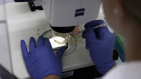 บริจาคสเต็มเซลล์ต่อลมหายใจผู้ป่วย ผู้รอรับการปลูกถ่ายมากถึง 2,615 ราย