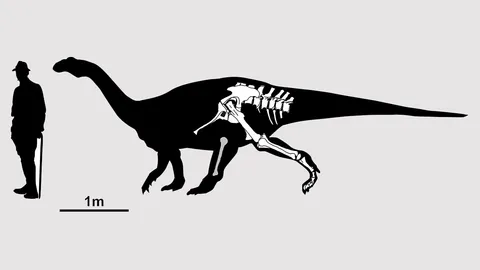 พบฟอสซิลไดโนเสาร์คอยาวชนิดใหม่ค้นพบหลังผ่าน 100 ปี