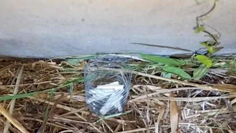 นักเสี่ยงโชคบุกสุสานกลางดึก งัดหลุมศพ ทำพิธีขอหวย หาเลขเด็ด