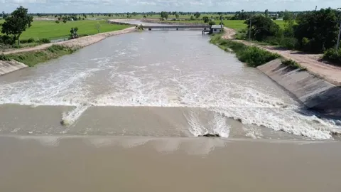 เตือนชาวบ้านริมน้ำ มวลน้ำลำเชียงไกรทะลักลงลำน้ำมูล ไหลมายัง อ.พิมาย แล้ว