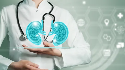 โรคไตมีกี่ระยะ อาการและวิธีรักษาเป็นอย่างไร