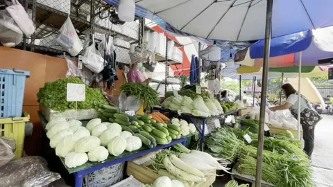 เชียงใหม่ผักแพง แม่ค้าโอดฝนตกน้ำท่วมทำราคาพุ่งแทบทุกชนิด กก.แตะหลักร้อย