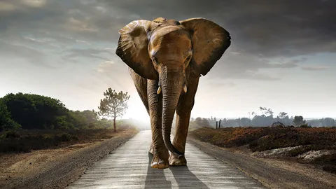 กรมศิลปากรปันความรู้ จัดนิทรรศการ “ช้างมงคล”