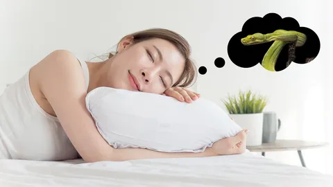 ทำนายฝัน ฝันเห็นงูเขียว หมายถึงเรื่องดีในชีวิต? พร้อมเลขเด็ด