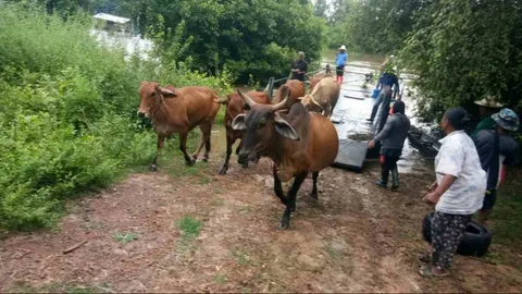 ส.ส.อุบลฯ ดาหน้า จี้รัฐช่วยน้ำท่วมด่วน จ่อ เสนอสภารื้อกฎเหล็ก กกต.