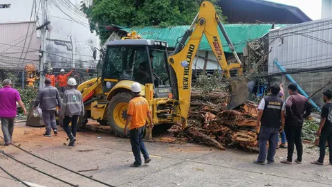 เมืองอุบลฯ น้ำมูลยังล้นท่วมวงกว้าง ต้นไม้โค่นทับเสาไฟฟ้าทำไฟดับทั่วเมือง