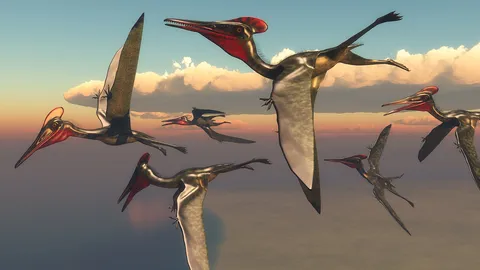 ทีมนักบรรพชีวินวิทยาไขปริศนา วิวัฒนาการสัตว์เลื้อยคลานบินได้