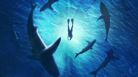 อย่าให้ “ฉลาม” ได้กลิ่นเลือด 1 ในข้อเสนอ “ดร.กอบศักดิ์ ภูตระกูล”