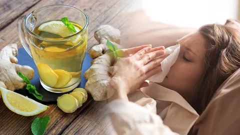 สมุนไพรแก้หนาว ตำรับยาปราบชมพูทวีป ตัวช่วยดูแลสุขภาพ 