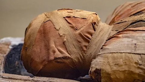 ทีมนักโบราณคดีได้ขุดพบมัมมี่ ยุคอาณานิคม 8 ซากในเปรู