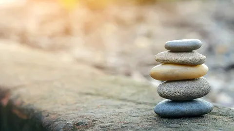 วิชา “หิน”