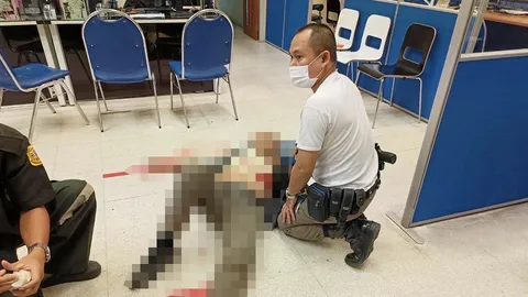 เหยื่อเมียโหด