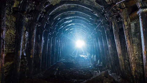 มองหาแสงปลายอุโมงค์