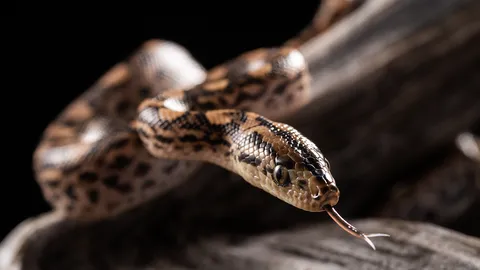 บุกชั้นธุรกิจซะเลย