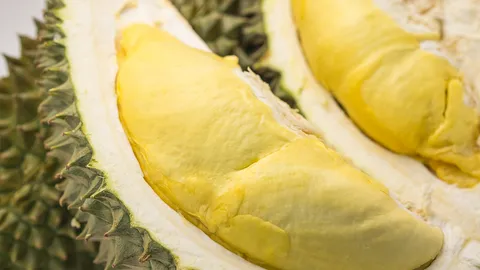 จับชีพจรทุเรียนไทย จะโดนโค่นบัลลังก์หรือไม่ หลังศึกแย่งชิงตลาดจีนเดือด