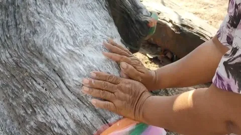 แห่ขอ "เลขเด็ด" เจ้าแม่ตะเคียนทอง เชื่อเคยให้โชคถูกหวยเกือบทั้งหมู่บ้าน (คลิป)