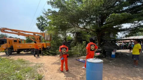 หนุ่มรับจ้างตัดกิ่งไม้ ถูกสายไฟแรงสูงช็อตดับ ตายคายอดต้นหูกระจง
