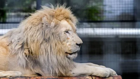 อยากเปลี่ยนบรรยากาศ