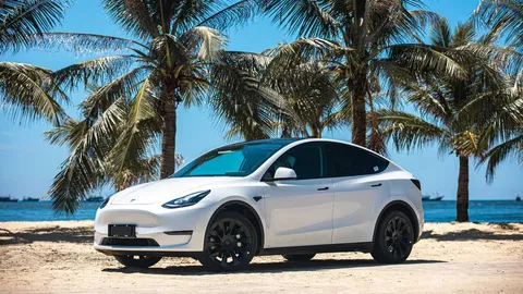 อีลอนมาแล้ว! รถยนต์ไฟฟ้า TESLA MODEL Y วิ่งทดสอบในไทยก่อนเปิดตัวเร็วๆ นี้!