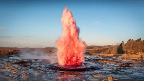 "เวสท์ อีเดน" อาร์ตแกลเลอรีเพื่อคนรุ่นใหม่ เปิดโลกประหลาดปราดเปรื่อง "มาร์โค อิวาริสตี"
