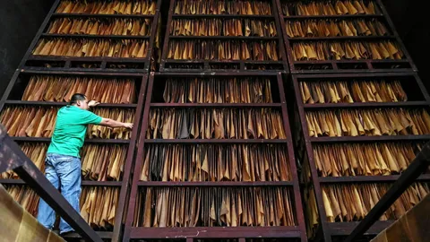 สถานการณ์ยางพารา ฟุบตามเศรษฐกิจโลก