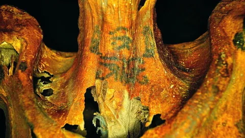 วิเคราะห์รอยสักที่พบบนร่างมัมมี่สตรีอียิปต์