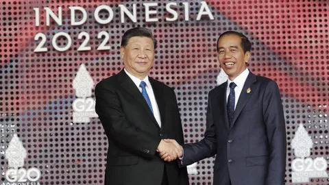 G20: ผู้นำอินโดนีเซียเผยจะไม่ยอมให้โลกเข้าสู่สงครามเย็น