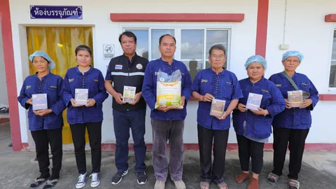 ศูนย์ข้าวชุมแพการันตีข้าวศรีสำราญชัยภูมิ มาตรฐานเกษตรอินทรีย์