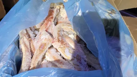 ปศุสัตว์จับหมูเถื่อน นํ้าหนักกว่า "430 ตัน"