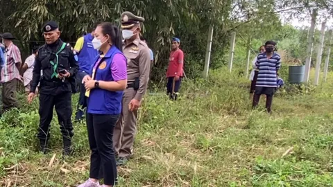 สลด ช้างป่าถูกลวดไฟฟ้ากั้นแนวสัตว์ป่า ช็อตตายขึ้นอืดกลางไร่ขนุน 