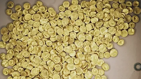 ช็อกโลก เหรียญทองโบราณหลายล้านยูโรถูกโจรกรรมจากพิพิธภัณฑ์เยอรมนี