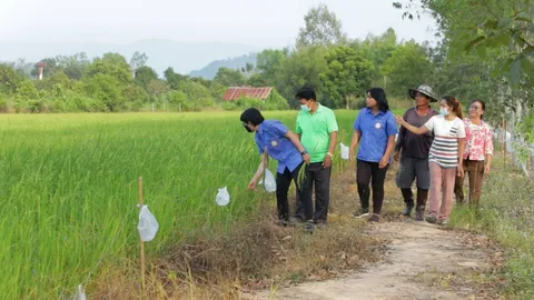 ศวข.ลพบุรี ผลักดันศูนย์ข้าวชุมชน เป็นเกษตรกรปราดเปรื่อง