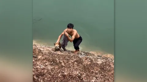 เห็นแล้วใจฟู หนุ่มพลเมืองดี ช่วยชีวิตน้องหมาขึ้นมาจากสระน้ำ (คลิป)
