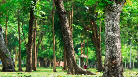 ย้อนอดีต “สวนนวมินทร์ฯ” “การต่อสู้” ที่คนไทย “หลงลืม”